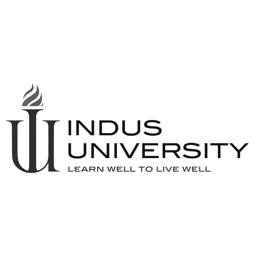 Indus University